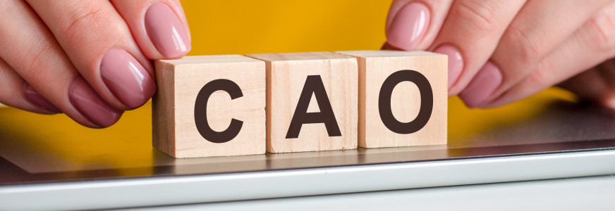 Onderhandelingen voor nieuwe cao vvt zijn begonnen