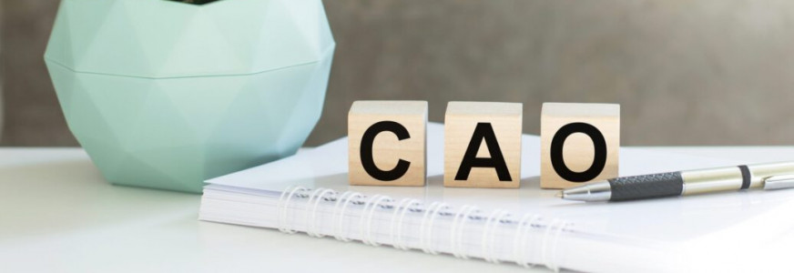 Update tweede onderhandeling nieuwe cao ggz