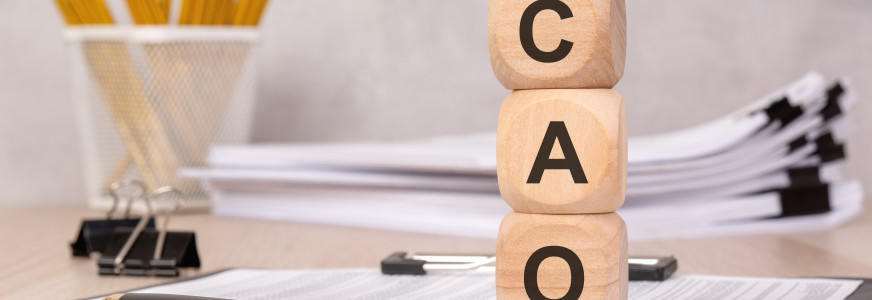 Derde cao-onderhandeling ggz: wat is er besproken?