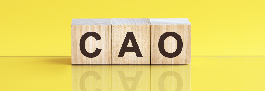 Intensieve vierde onderhandelingsdag voor de cao ggz