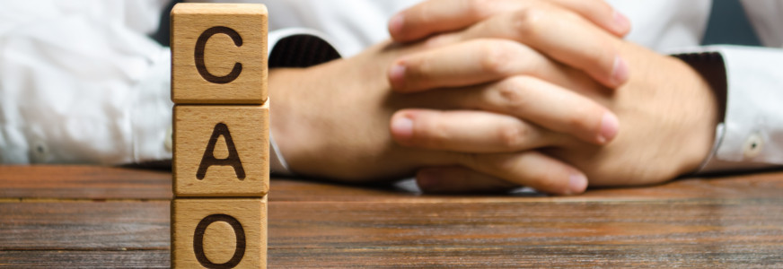 Nieuwe cao gehandicaptenzorg is een feit