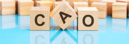 NU’91 blij met cao-resultaat CIZ NU’91 blij met cao-resultaat CIZ