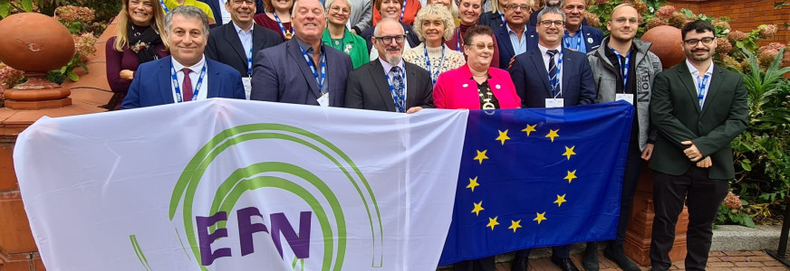 NU’91 in Dublin voor de EFN-vergaderingen